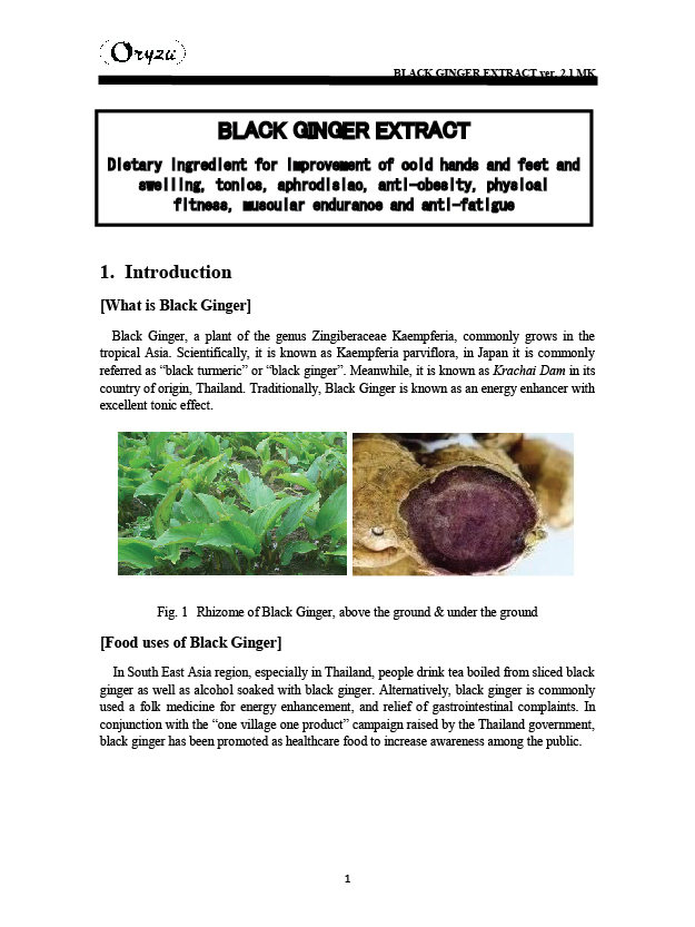 250620 WEBSITE BLACK GINGER-22